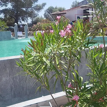 L'uliveto S'acqua Salia *